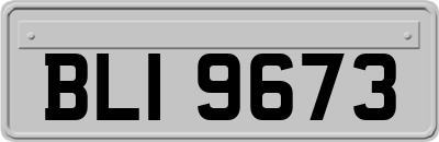 BLI9673