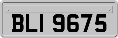 BLI9675