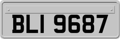 BLI9687