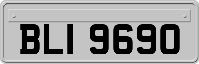 BLI9690