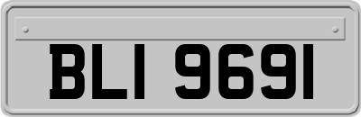 BLI9691