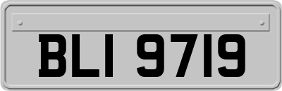 BLI9719