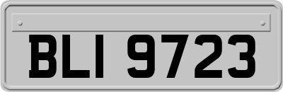 BLI9723