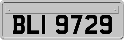 BLI9729