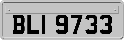 BLI9733