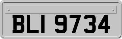 BLI9734