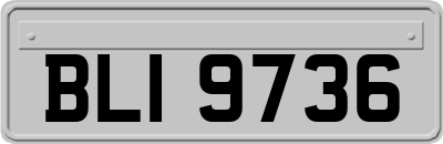 BLI9736