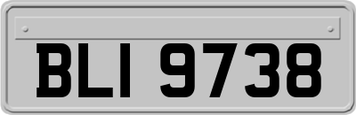 BLI9738