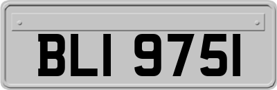 BLI9751