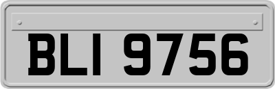 BLI9756
