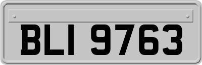 BLI9763