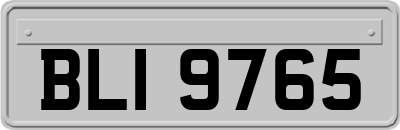 BLI9765