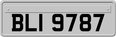 BLI9787