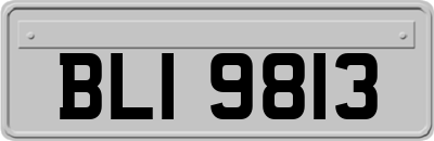 BLI9813
