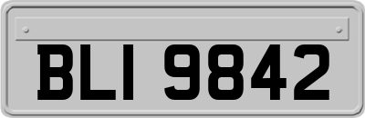 BLI9842