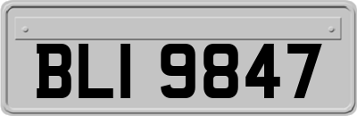 BLI9847