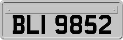 BLI9852