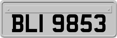 BLI9853