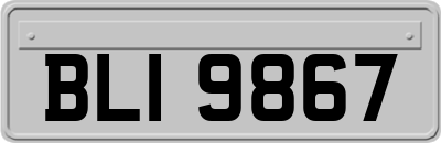 BLI9867