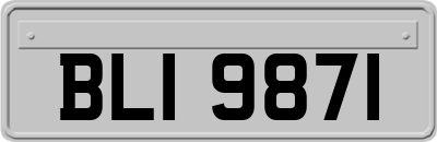 BLI9871