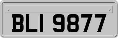 BLI9877