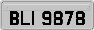 BLI9878