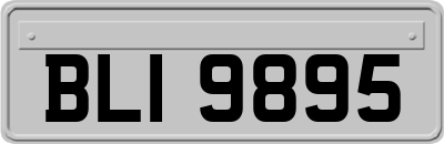 BLI9895
