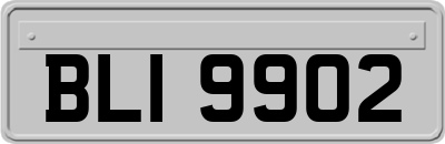 BLI9902