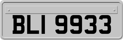 BLI9933
