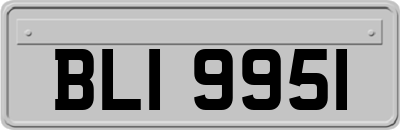 BLI9951