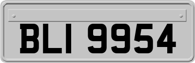 BLI9954