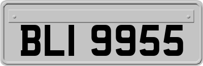 BLI9955
