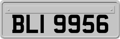 BLI9956