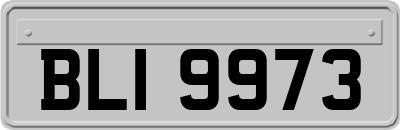BLI9973