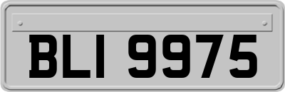 BLI9975
