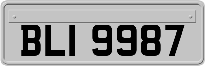 BLI9987