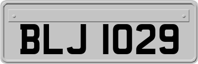 BLJ1029
