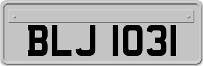 BLJ1031