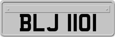 BLJ1101