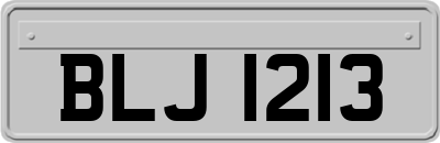 BLJ1213