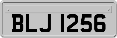 BLJ1256