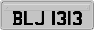 BLJ1313