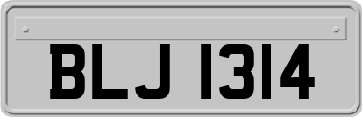 BLJ1314