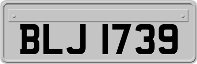 BLJ1739