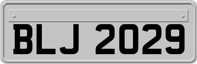 BLJ2029