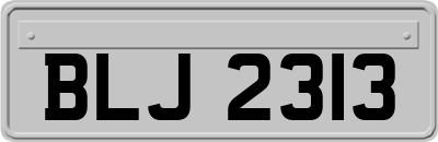 BLJ2313