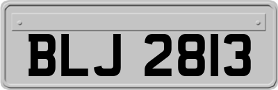 BLJ2813