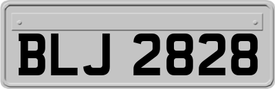 BLJ2828