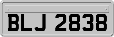 BLJ2838