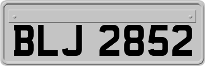 BLJ2852
